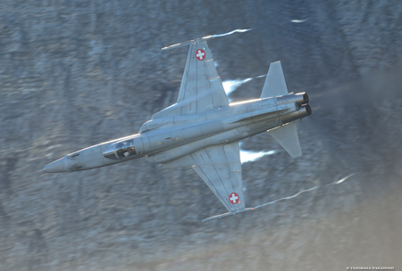 Northrop F-5E Tiger II