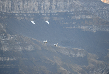 Saab JAS39C Gripen