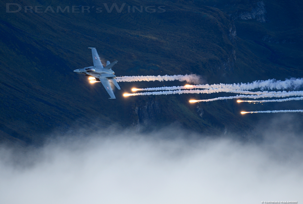 McDonnell Douglas F/A-18C Hornet McDonnell Douglas F/A-18C Hornet