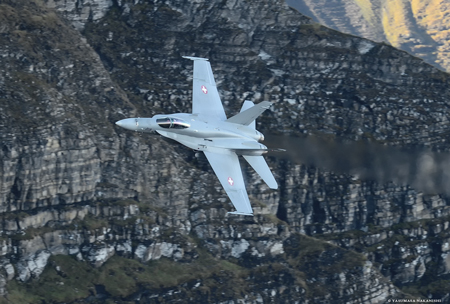 McDonnell Douglas F/A-18C Hornet