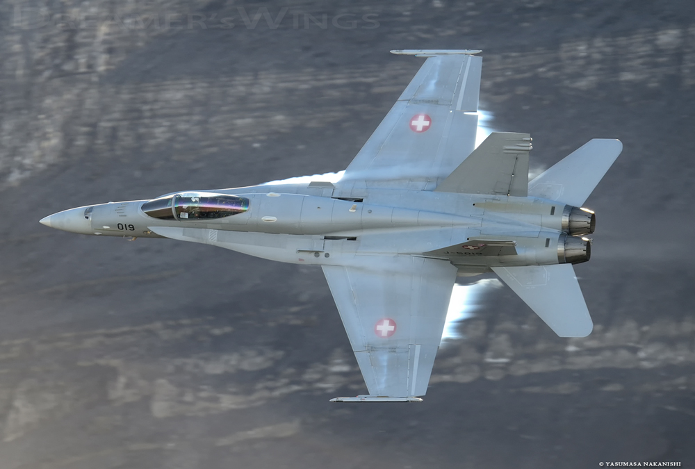 McDonnell Douglas F/A-18C Hornet McDonnell Douglas F/A-18C Hornet