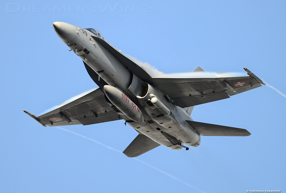 McDonnell Douglas F/A-18C Hornet McDonnell Douglas F/A-18C Hornet