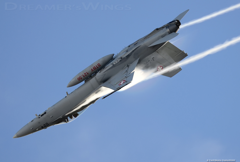 McDonnell Douglas F/A-18C Hornet McDonnell Douglas F/A-18C Hornet