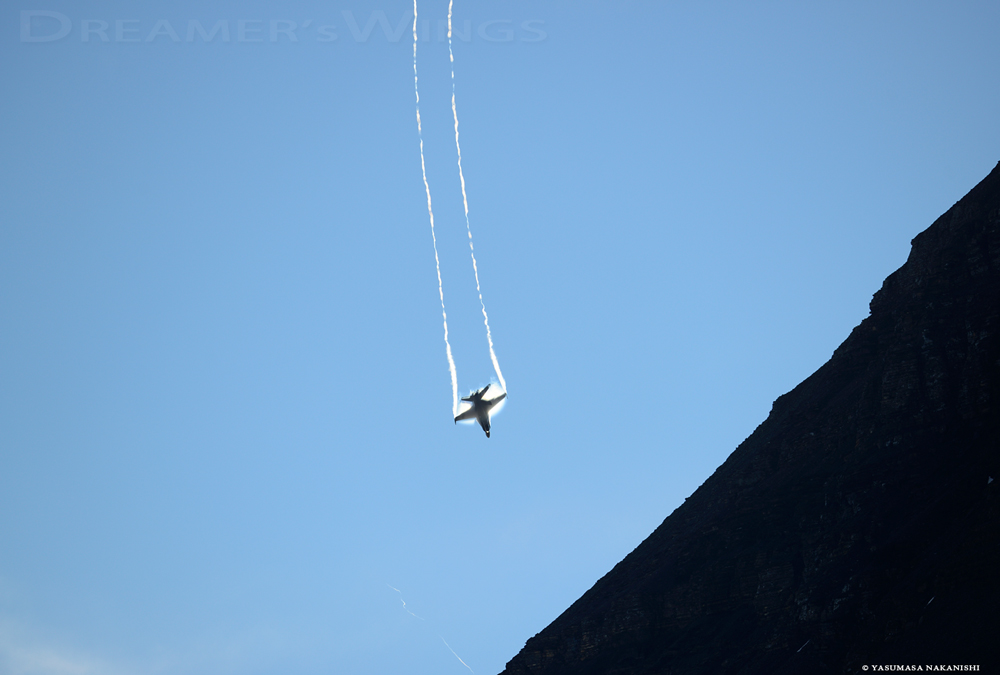 McDonnell Douglas F/A-18C Hornet McDonnell Douglas F/A-18C Hornet