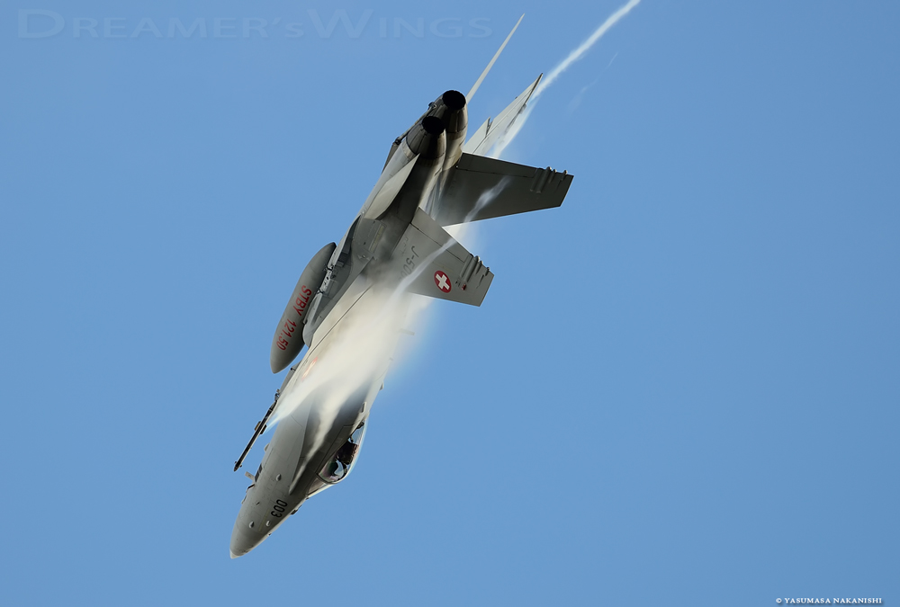 McDonnell Douglas F/A-18C Hornet McDonnell Douglas F/A-18C Hornet