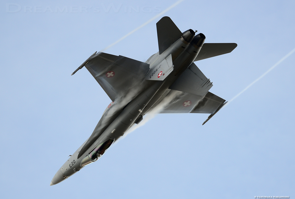 McDonnell Douglas F/A-18C Hornet McDonnell Douglas F/A-18C Hornet
