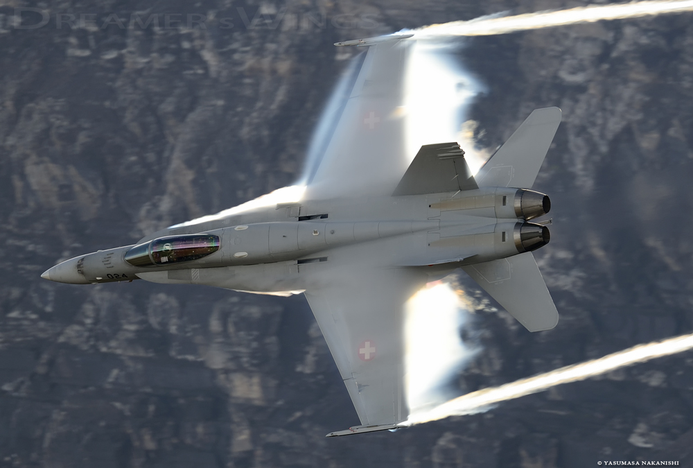 McDonnell Douglas F/A-18C Hornet McDonnell Douglas F/A-18C Hornet