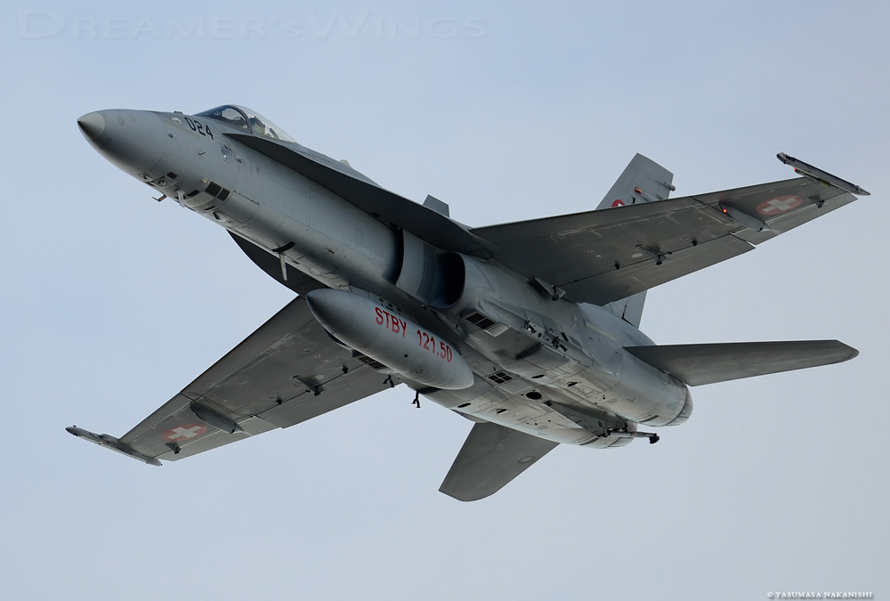 McDonnell Douglas F/A-18C Hornet McDonnell Douglas F/A-18C Hornet