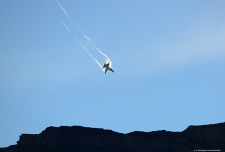 McDonnell Douglas F/A-18C Hornet