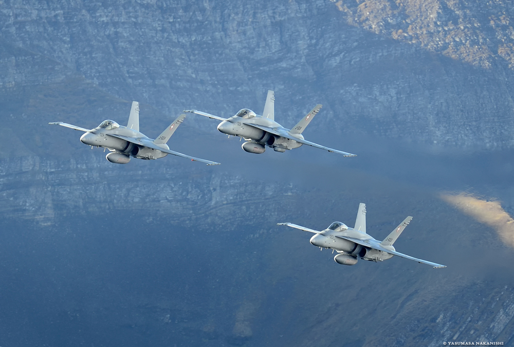 McDonnell Douglas F/A-18C Hornet McDonnell Douglas F/A-18C Hornet