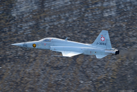Northrop F-5E Tiger II