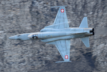 Northrop F-5E Tiger II