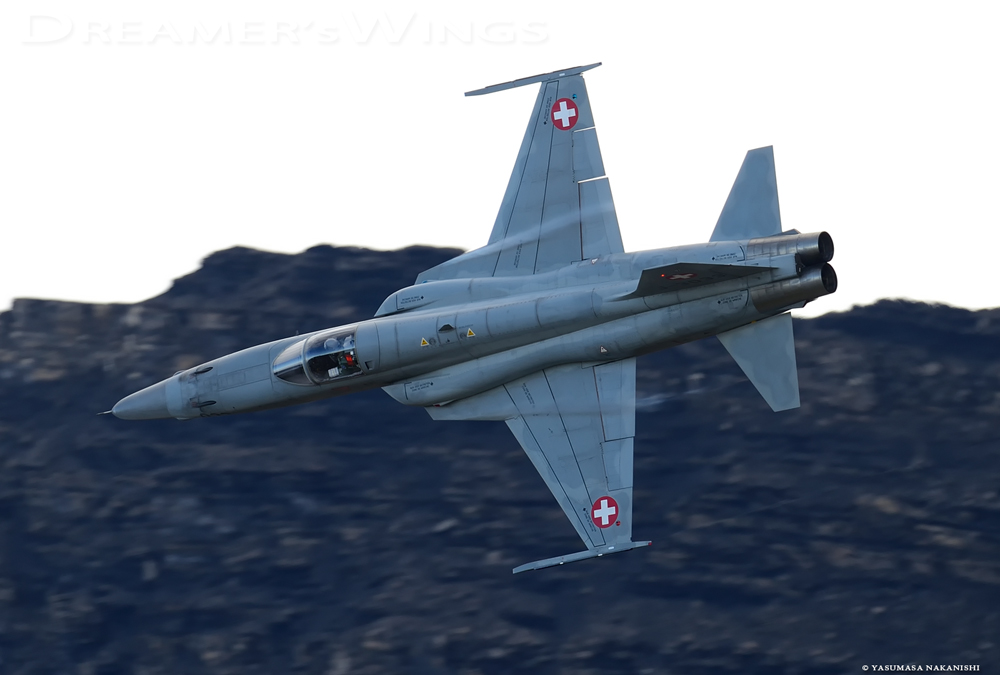 Northrop F-5E Tiger II Northrop F-5E Tiger II