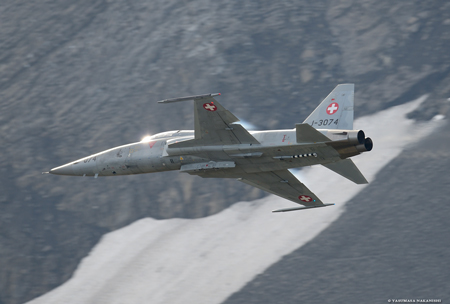 Northrop F-5E Tiger II