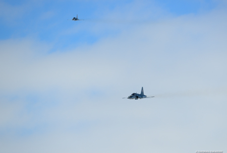 Northrop F-5E Tiger II