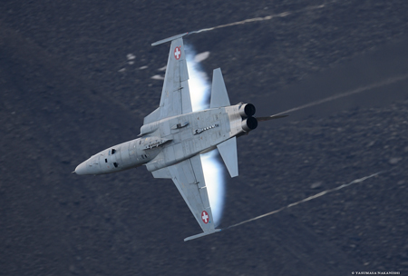 Northrop F-5E Tiger II