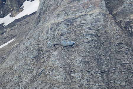 Eurocopter EC635