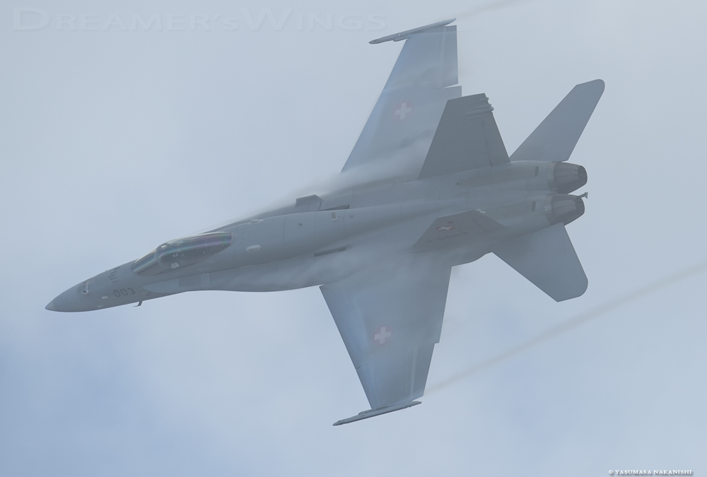McDonnell Douglas F/A-18C Hornet McDonnell Douglas F/A-18C Hornet