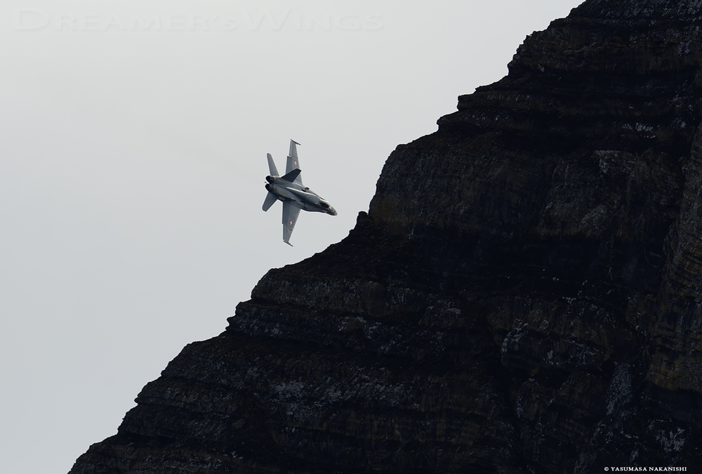 McDonnell Douglas F/A-18C Hornet McDonnell Douglas F/A-18C Hornet