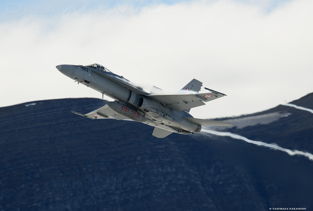 McDonnell Douglas F/A-18C Hornet McDonnell Douglas F/A-18C Hornet