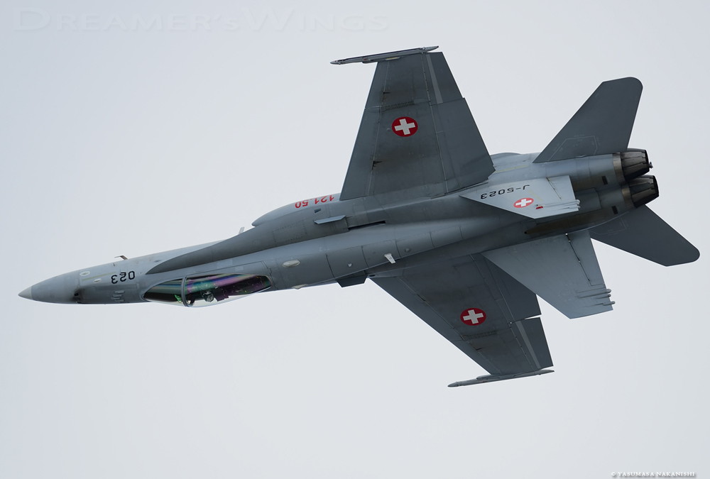 McDonnell Douglas F/A-18C Hornet McDonnell Douglas F/A-18C Hornet