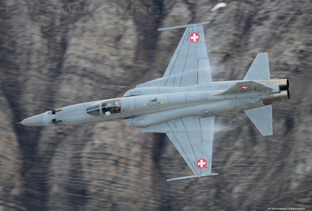 Northrop F-5E Tiger II Northrop F-5E Tiger II