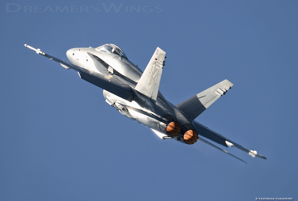 McDonnell Douglas F/A-18C Hornet McDonnell Douglas F/A-18C Hornet