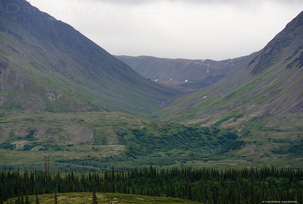 Alaskan Landscape Alaskan Landscape