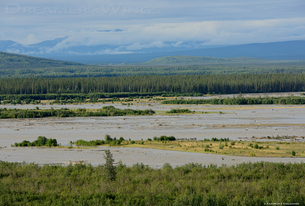 Alaskan Landscape Alaskan Landscape