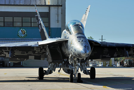 Boeing F/A-18F Super Hornet